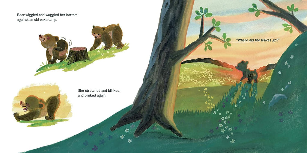Bear Helps the Forest Hardcover Book